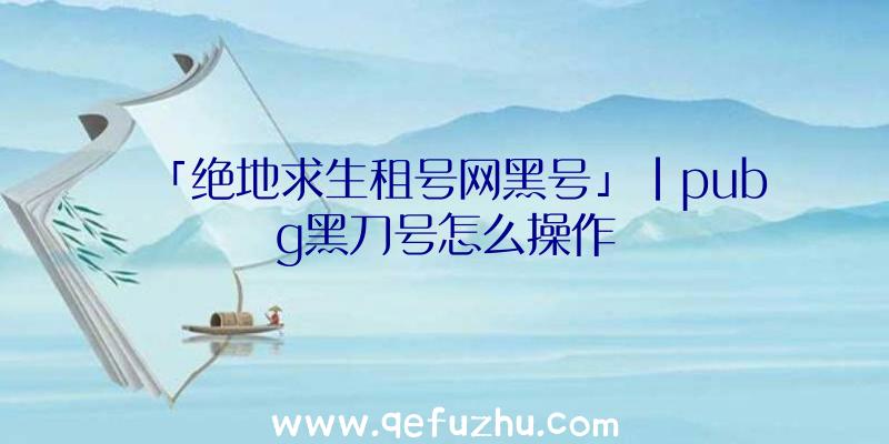 「绝地求生租号网黑号」|pubg黑刀号怎么操作